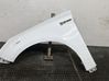 Fender 2171304