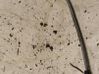 Lambda probe sensor H820B12873R