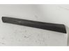 Rear door trim (molding) 7507648040