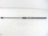 Tailgate/trunk strut/damper 39089133