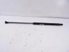 Tailgate/trunk strut/damper 745714