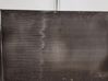 Radiador del refrigerante 214100014R