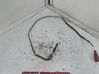 Sensor 03L906088DM