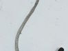 Lambda probe sensor 8200170204