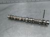 Camshaft 55206898