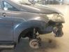 Fender 1777180