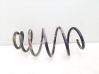 Front coil spring 