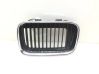 Front grill 8151547