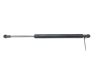 Tailgate strut 4365788