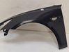 Fender 109725300F