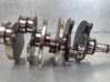 Crankshaft 059105019AE