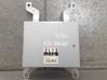 Engine control unit/module ZL1318881A