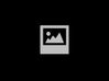 Alternador 9666030280