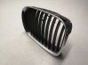 Front grill 8159312