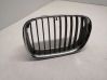 Front grill 8159311