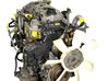 Motor YD25DDTI