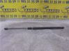 Front bonnet/hood damper/strut 