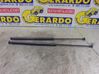 Tailgate/trunk/boot lid buffer 