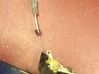 Front door lock 1944016
