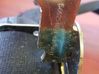 Rear seatbelt 566254621
