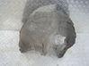 Rear arch fender liner splash guards 8W0910172F