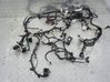 Other wiring loom 