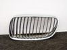 Front grill 7254969