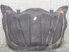 Engine bonnet/hood sound/heat insulation 6700300070