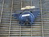 Gearbox mount 95127173
