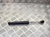 Tailgate/trunk strut/damper 654707388R