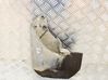 Schmutzfänger Spritzschutz hinten BK3128371DD