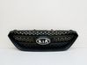 Front grill 8639010000
