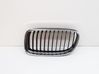 Front grill 7201967