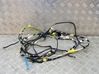 Other wiring loom 100455601H