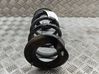Rear coil spring 118847200B