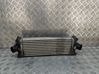 Intercooler radiator CC119L440AF
