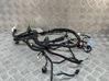 Front door wiring loom 148905200E