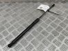 Front bonnet/hood damper/strut 9834871580