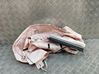 Roof airbag LV4BS042D94AL