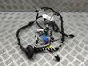 Front door wiring loom 5NC971161EL