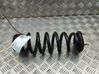 Rear coil spring 1618145800