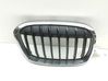 Atrapa chłodnicy / Grill 7383364