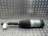 Shock absorber/damper/air suspension 102746100G
