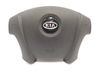 Airbag de la puerta delantera 569001F200