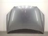 Engine bonnet/hood 7901H9