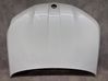 Engine bonnet/hood 8737174