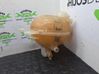 Depósito del refrigerante 9820083580