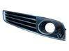 Verkleidung Nebelscheinwerfer / Gitter vorne 4H0807151
