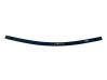Rear leaf spring 