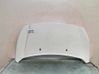 Engine bonnet/hood 1808950